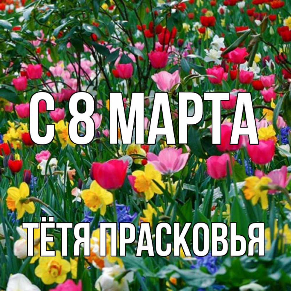 Открытка на каждый день с именем, Тётя-Прасковья С 8 марта с международным женским днем поздравления для женщины Прикольная открытка с пожеланием онлайн скачать бесплатно 