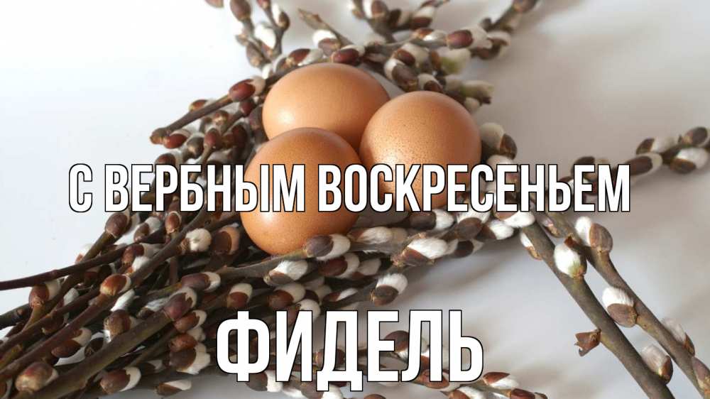 Открытка на каждый день с именем, Фидель С вербным воскресеньем верба 1 Прикольная открытка с пожеланием онлайн скачать бесплатно 