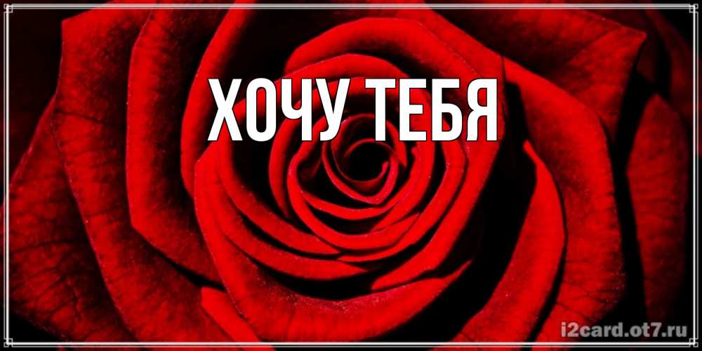 Открытка на каждый день с именем, Хочу-тебя Главная алая роза Прикольная открытка с пожеланием онлайн скачать бесплатно 