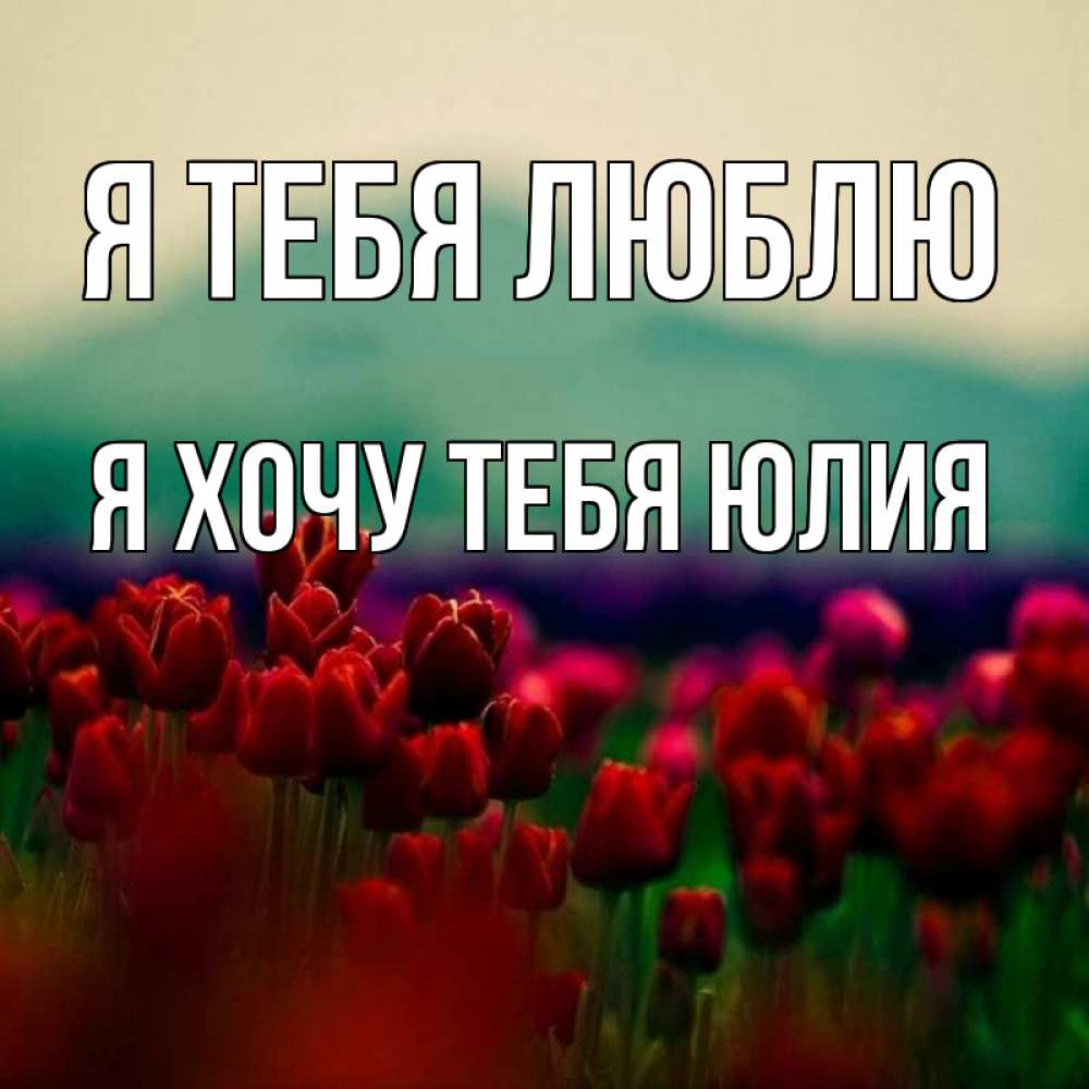 Открытка на каждый день с именем, Я-хочу-тебя-Юлия Я тебя люблю тюльпаны 4 Прикольная открытка с пожеланием онлайн скачать бесплатно 