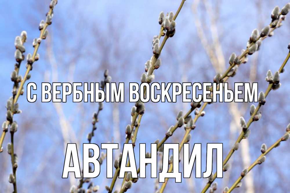 Открытка на каждый день с именем, Автандил С вербным воскресеньем верба Прикольная открытка с пожеланием онлайн скачать бесплатно 