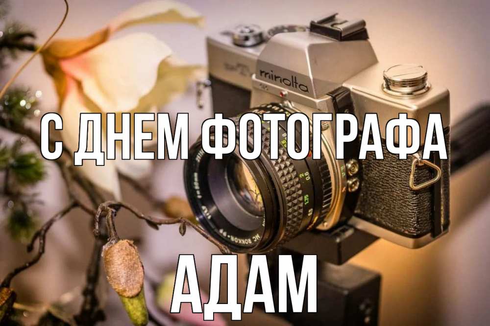 Открытка на каждый день с именем, Адам С днем фотографа с днем фотографа 1 Прикольная открытка с пожеланием онлайн скачать бесплатно 