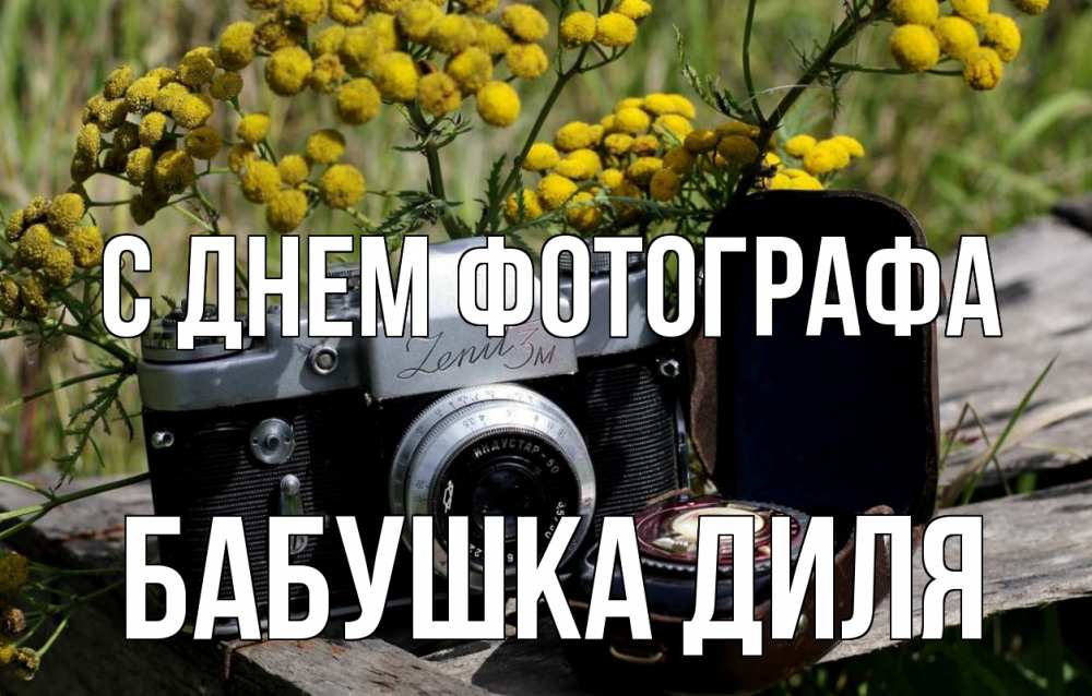Открытка на каждый день с именем, Бабушка-Диля С днем фотографа с днем фотографа Прикольная открытка с пожеланием онлайн скачать бесплатно 