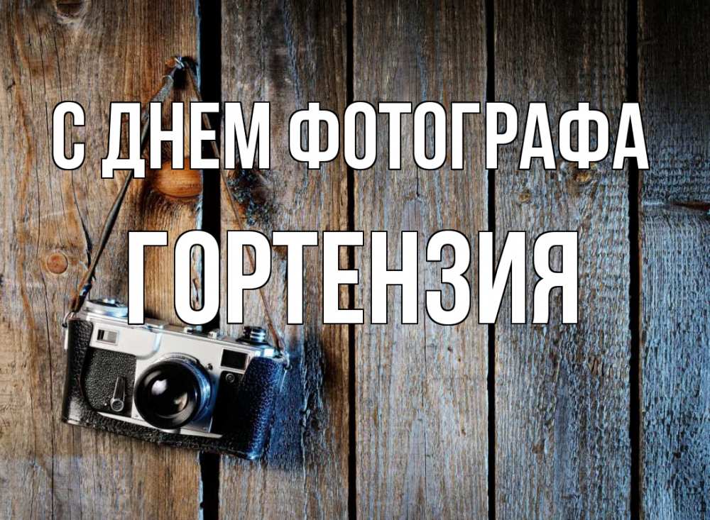 Открытка на каждый день с именем, Гортензия С днем фотографа с днем фотографа Прикольная открытка с пожеланием онлайн скачать бесплатно 