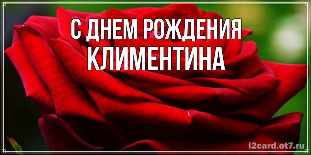 Открытка на каждый день с именем, Климентина С днем рождения розочка очень красивая Прикольная открытка с пожеланием онлайн скачать бесплатно 