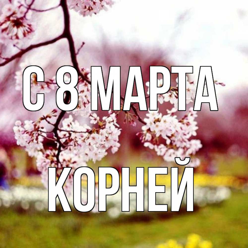 Открытка на каждый день с именем, Корней С 8 МАРТА яблоня Прикольная открытка с пожеланием онлайн скачать бесплатно 
