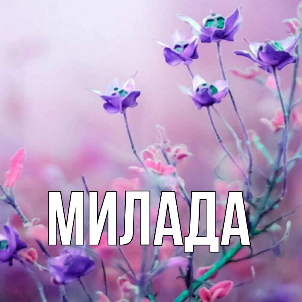 Открытка на каждый день с именем, Милада Главная наурыз  2 Прикольная открытка с пожеланием онлайн скачать бесплатно 