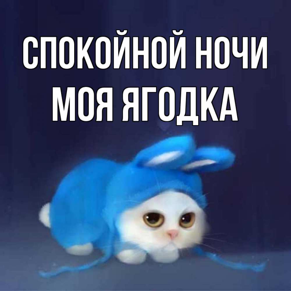 Открытка на каждый день с именем, Моя-ягодка Спокойной ночи кот в голубом костюме кролика с ушками Прикольная открытка с пожеланием онлайн скачать бесплатно 