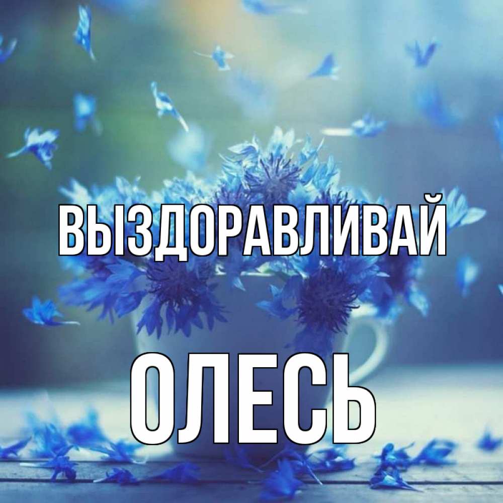 Открытка на каждый день с именем, Олесь Выздоравливай кружка с зельем и цветами Прикольная открытка с пожеланием онлайн скачать бесплатно 