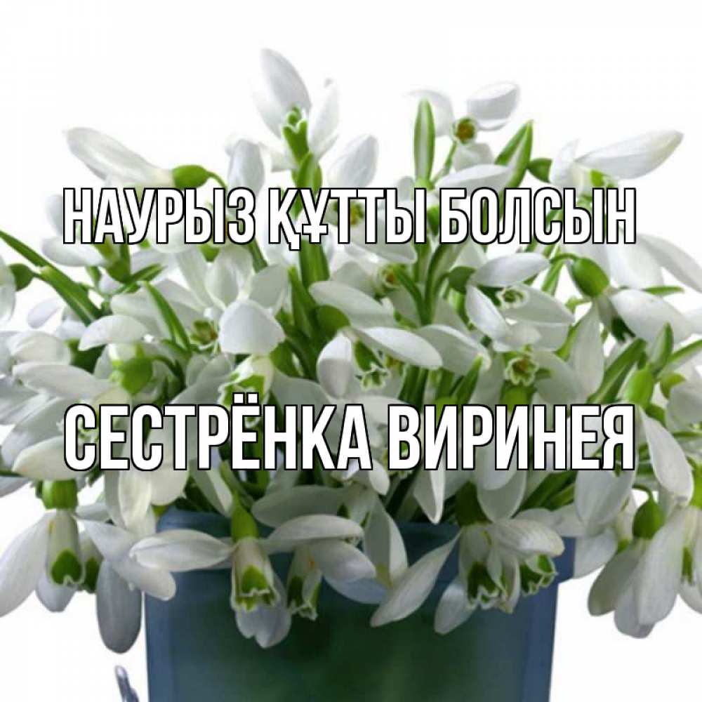 Открытка на каждый день с именем, Сестрёнка-Виринея Наурыз құтты болсын цветы к наурызу Прикольная открытка с пожеланием онлайн скачать бесплатно 