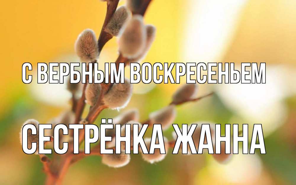 Открытка на каждый день с именем, Сестрёнка-Жанна С вербным воскресеньем верба Прикольная открытка с пожеланием онлайн скачать бесплатно 