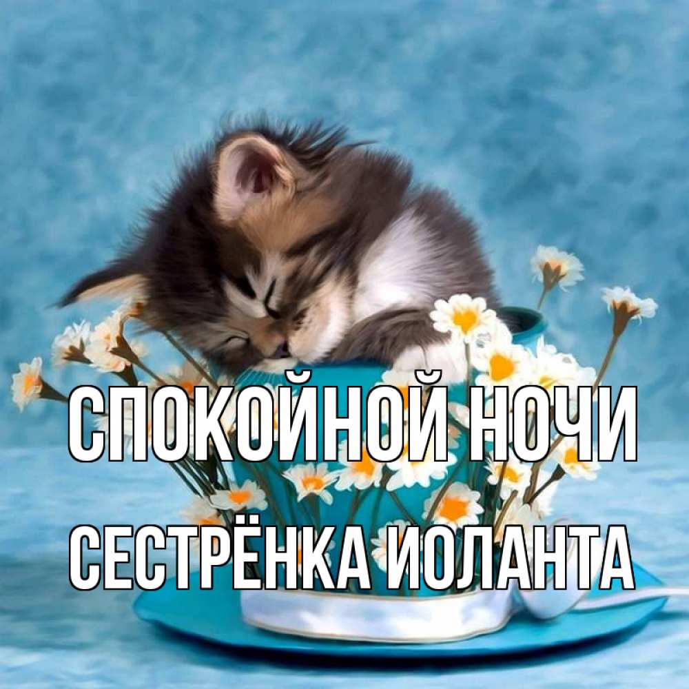 Открытка на каждый день с именем, Сестрёнка-Иоланта Спокойной ночи котенок спит в кружке с блюдцем Прикольная открытка с пожеланием онлайн скачать бесплатно 