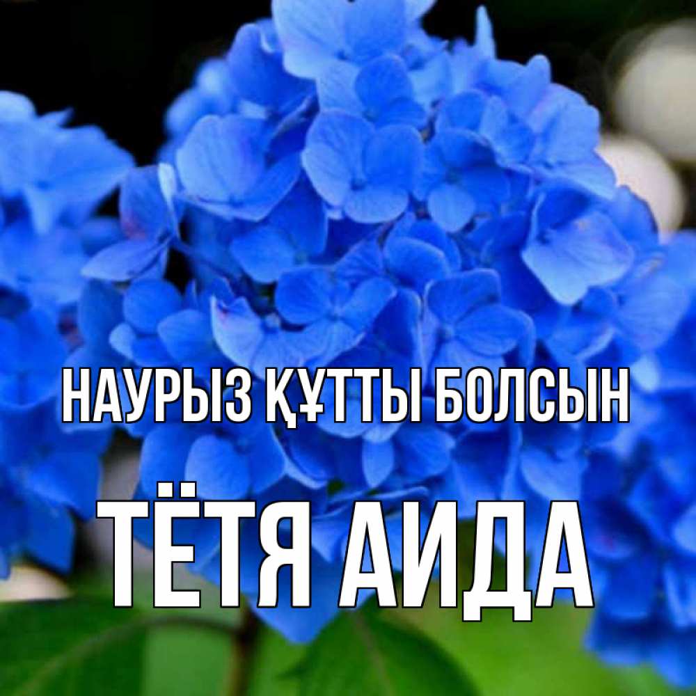 Открытка на каждый день с именем, Тётя-Аида Наурыз құтты болсын синие цветы Прикольная открытка с пожеланием онлайн скачать бесплатно 
