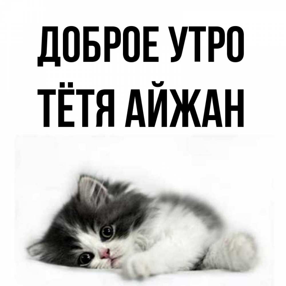 Открытка на каждый день с именем, Тётя-Айжан Доброе утро кот лапки Прикольная открытка с пожеланием онлайн скачать бесплатно 