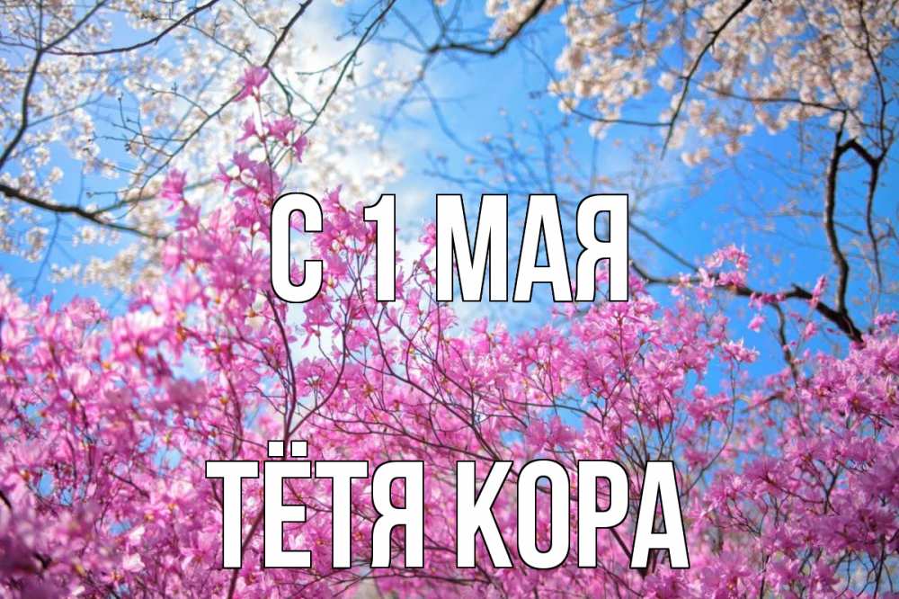 Открытка на каждый день с именем, Тётя-Кора С 1 мая С 1 мая Прикольная открытка с пожеланием онлайн скачать бесплатно 