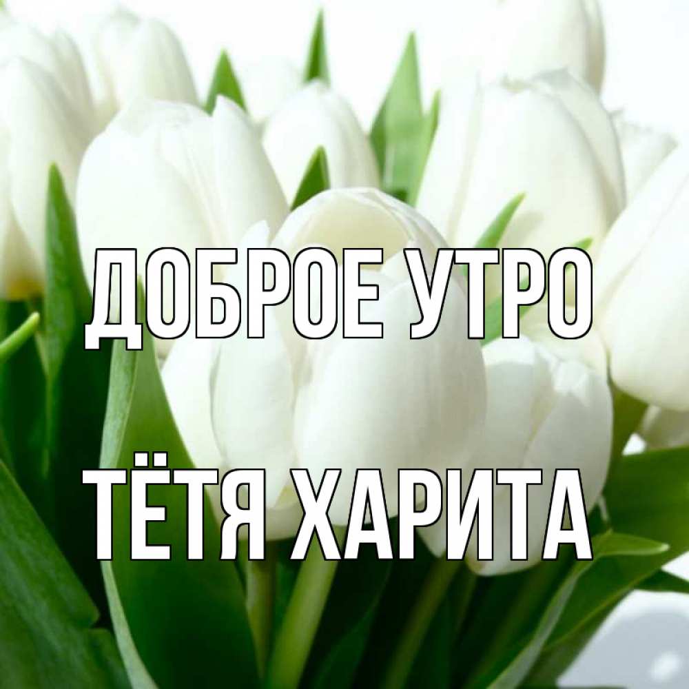Открытка на каждый день с именем, Тётя-Харита Доброе утро открытки на каждый день по именам Прикольная открытка с пожеланием онлайн скачать бесплатно 