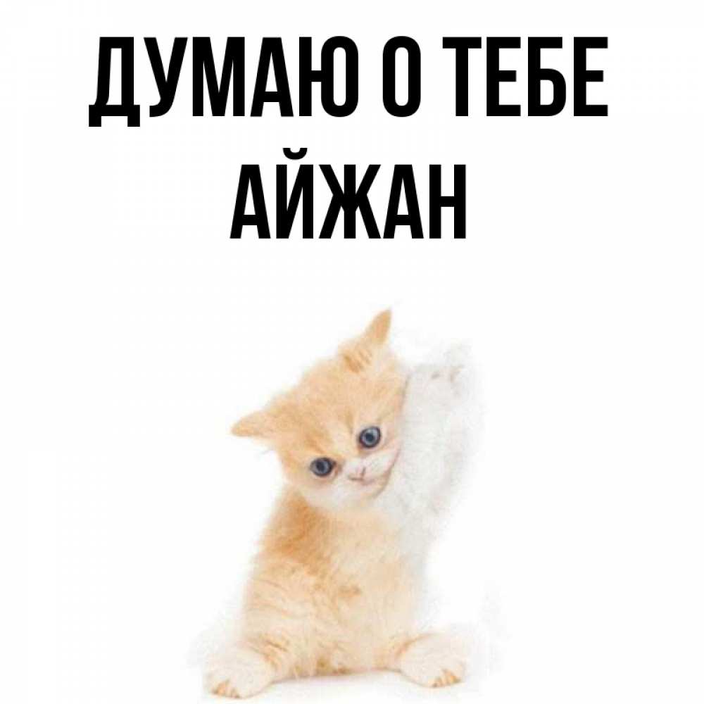 Открытка на каждый день с именем, Айжан Думаю о тебе зверушки и милота Прикольная открытка с пожеланием онлайн скачать бесплатно 