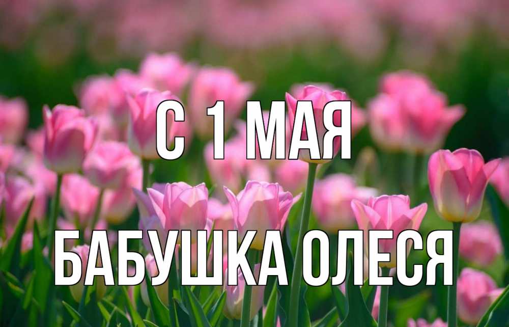 Открытка на каждый день с именем, Бабушка-Олеся С 1 мая С 1 мая Прикольная открытка с пожеланием онлайн скачать бесплатно 