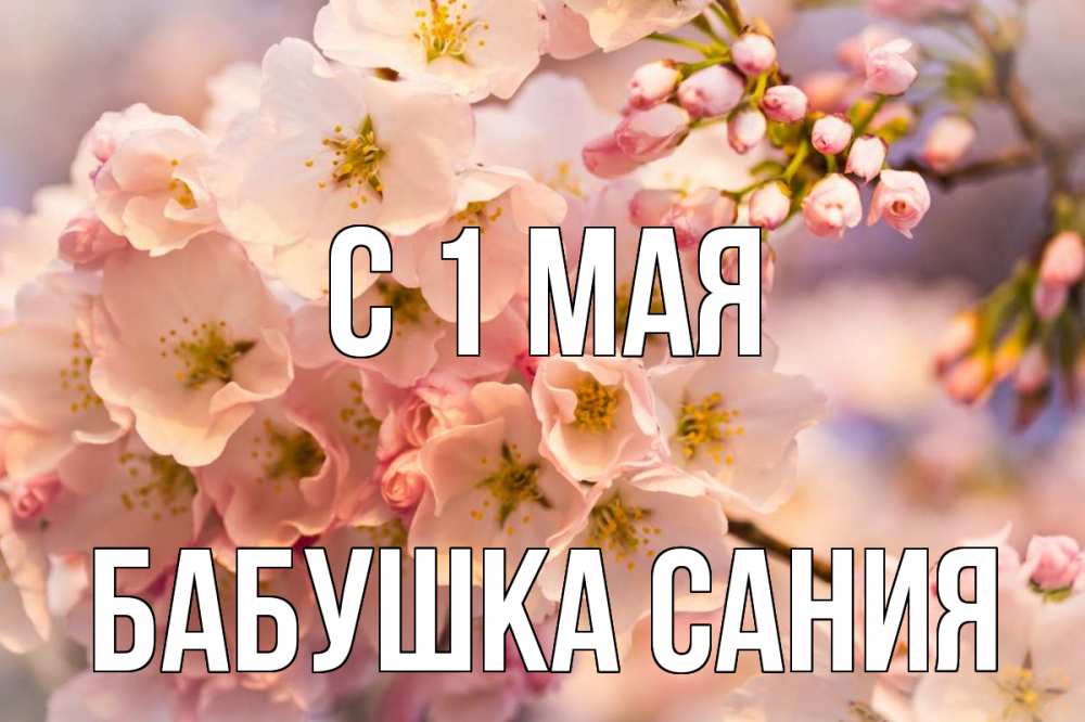 Открытка на каждый день с именем, Бабушка-Сания С 1 мая С 1 мая Прикольная открытка с пожеланием онлайн скачать бесплатно 