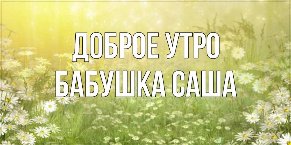Открытка на каждый день с именем, Бабушка-Саша Доброе утро доброе утро Прикольная открытка с пожеланием онлайн скачать бесплатно 