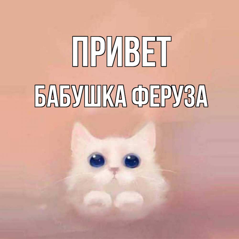 Открытка на каждый день с именем, Бабушка-Феруза Привет котик белый в полете Прикольная открытка с пожеланием онлайн скачать бесплатно 