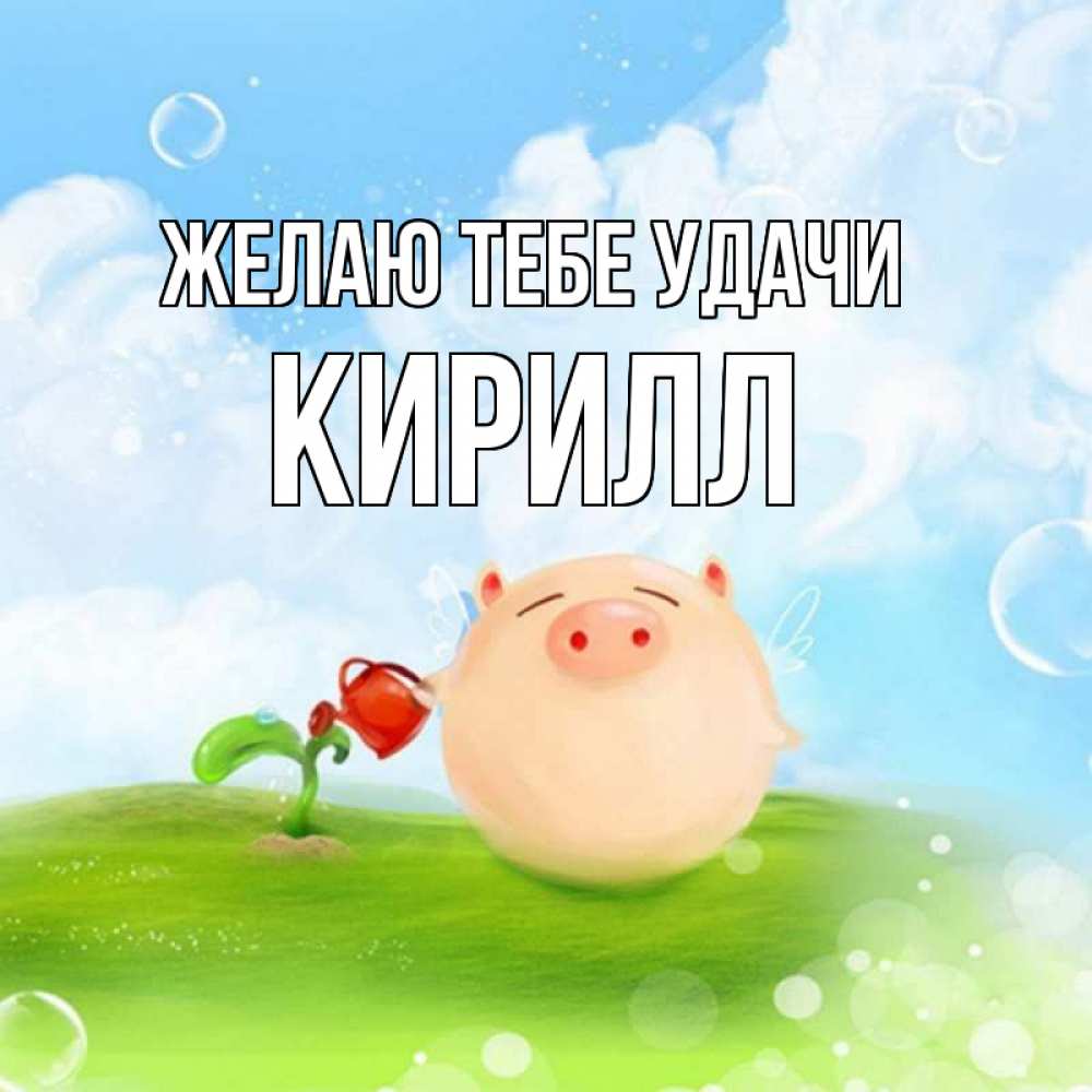 Открытка на каждый день с именем, Кирилл Желаю тебе удачи поросенок поливает цветок. летнее настроение Прикольная открытка с пожеланием онлайн скачать бесплатно 