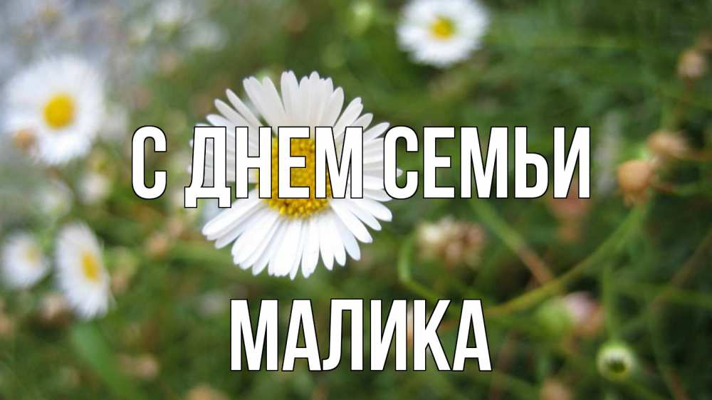 Открытка на каждый день с именем, Малика С днем семьи с днем семьи Прикольная открытка с пожеланием онлайн скачать бесплатно 