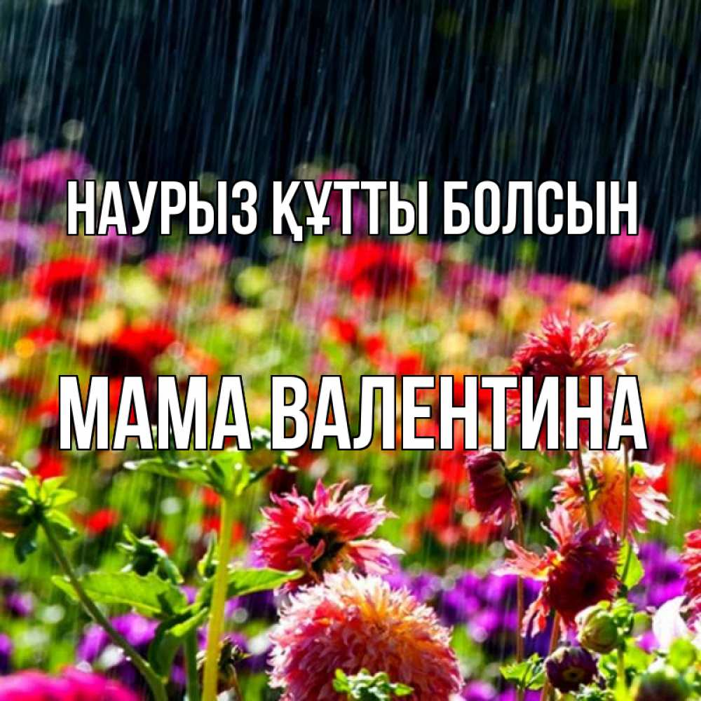 Открытка на каждый день с именем, Мама-Валентина Наурыз құтты болсын цветы под дождиком к наурызу Прикольная открытка с пожеланием онлайн скачать бесплатно 