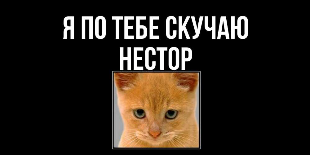 Открытка на каждый день с именем, Нестор Я по тебе скучаю открытки рыжий котенок скучает по тебе Прикольная открытка с пожеланием онлайн скачать бесплатно 