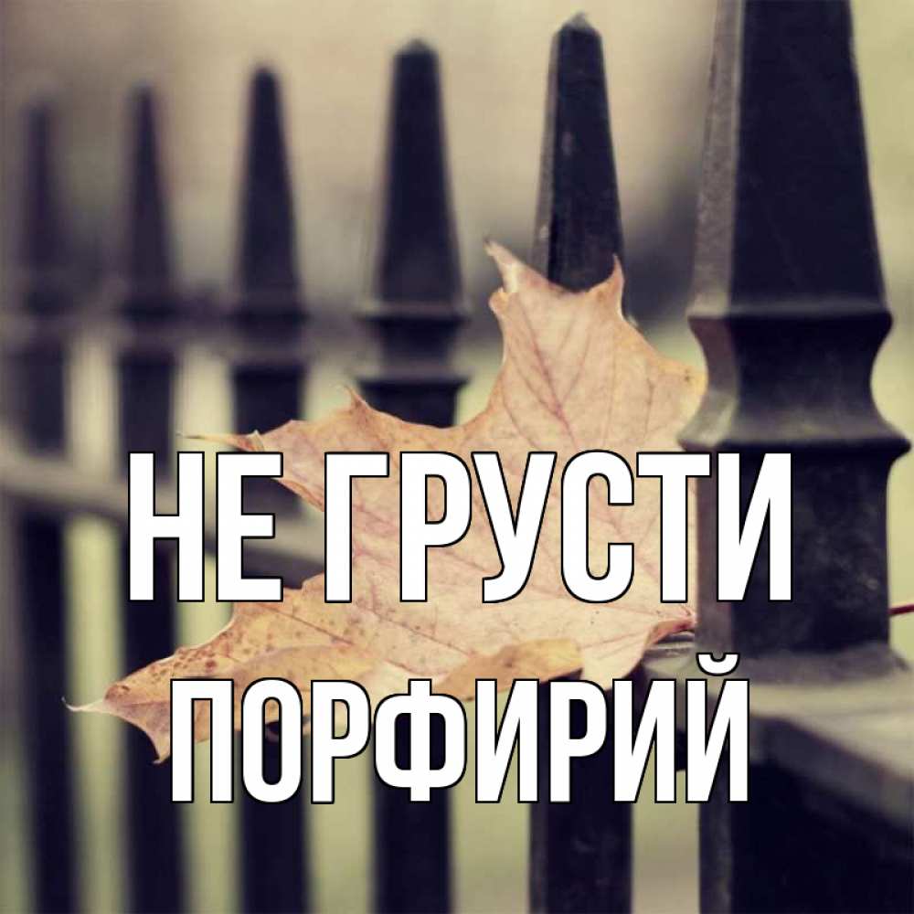 Открытка на каждый день с именем, Порфирий Не грусти лист клена Прикольная открытка с пожеланием онлайн скачать бесплатно 