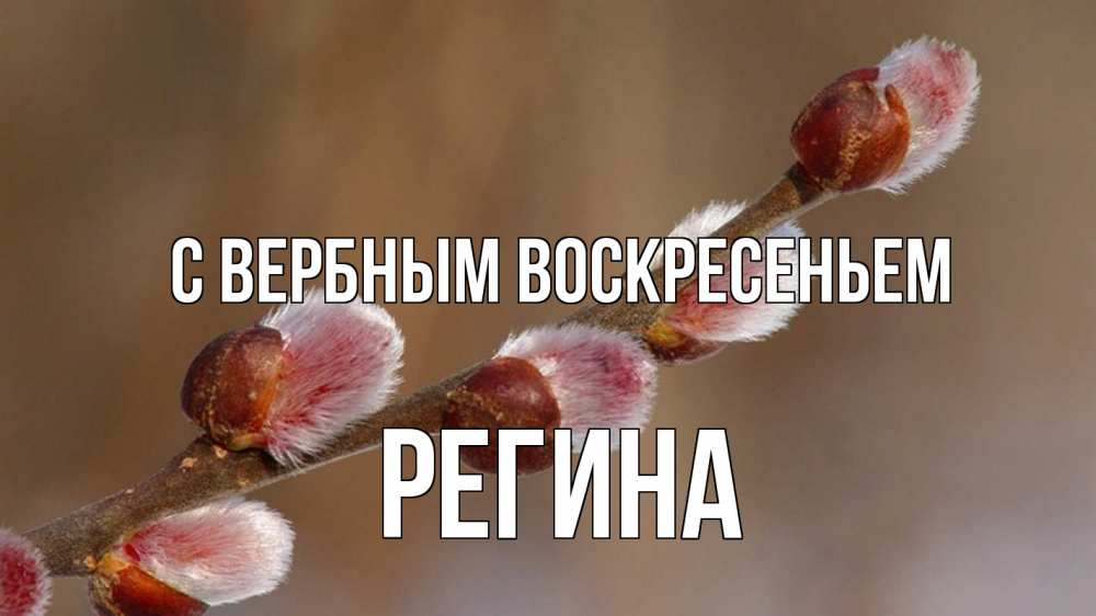 Открытка на каждый день с именем, Регина С вербным воскресеньем верба Прикольная открытка с пожеланием онлайн скачать бесплатно 