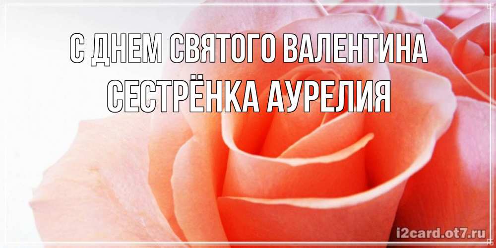 Открытка на каждый день с именем, Сестрёнка-Аурелия С днем Святого Валентина открытка на день Святого Валентина с розовой розой Прикольная открытка с пожеланием онлайн скачать бесплатно 