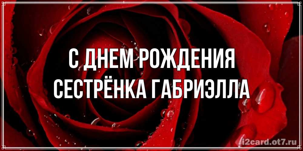 Открытка на каждый день с именем, Сестрёнка-Габриэлла С днем рождения крупная бордовая роза Прикольная открытка с пожеланием онлайн скачать бесплатно 