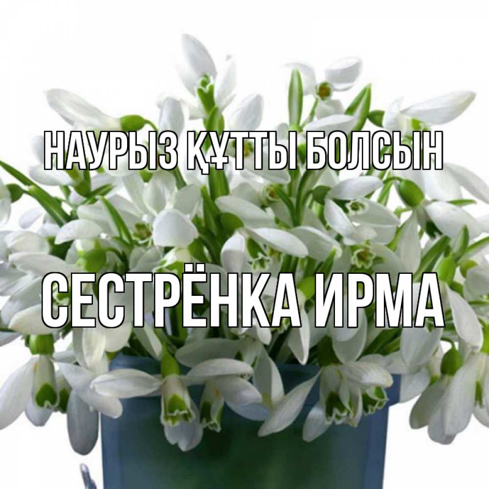 Открытка на каждый день с именем, Сестрёнка-Ирма Наурыз құтты болсын цветы к наурызу Прикольная открытка с пожеланием онлайн скачать бесплатно 