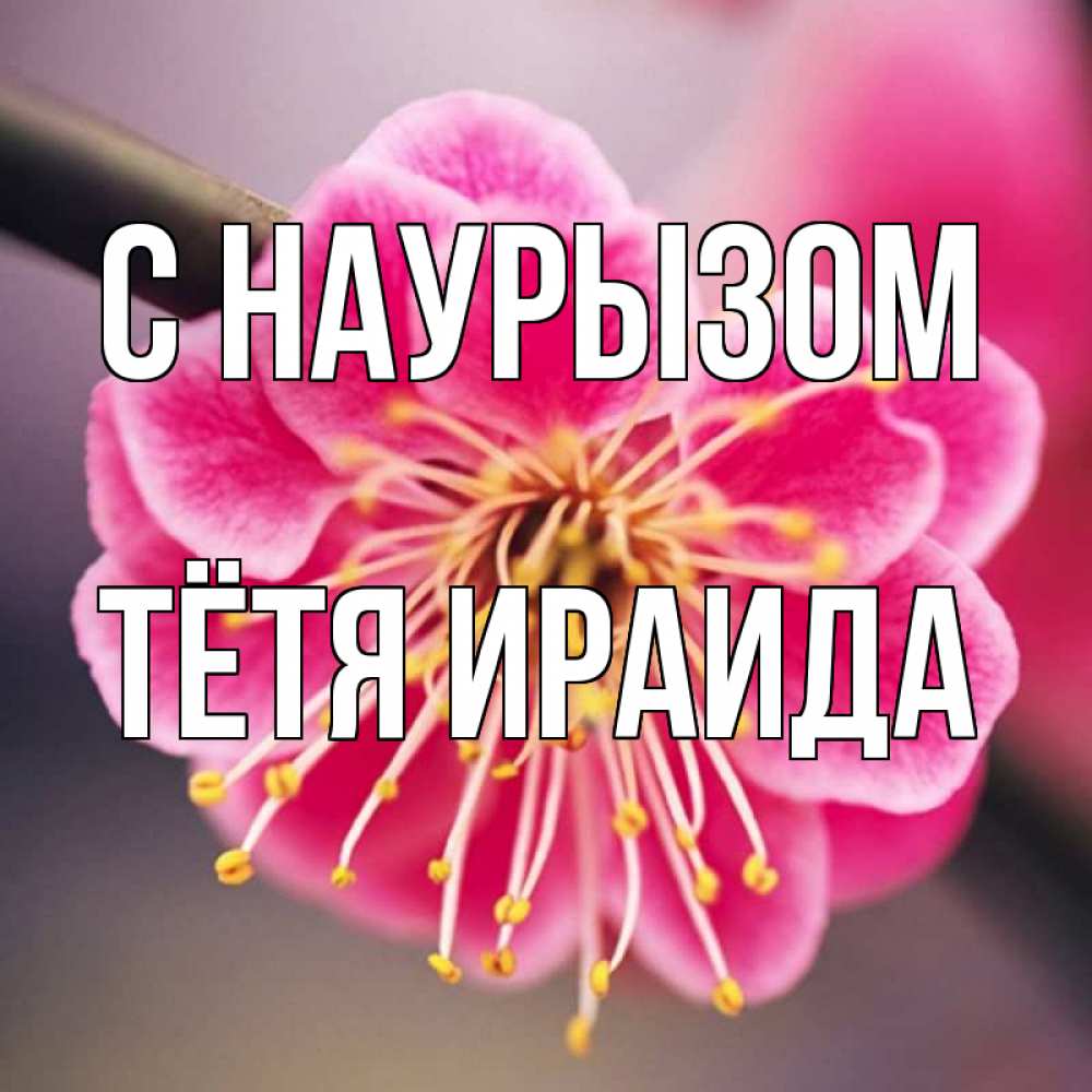 Открытка на каждый день с именем, Тётя-Ираида С наурызом цветы Прикольная открытка с пожеланием онлайн скачать бесплатно 
