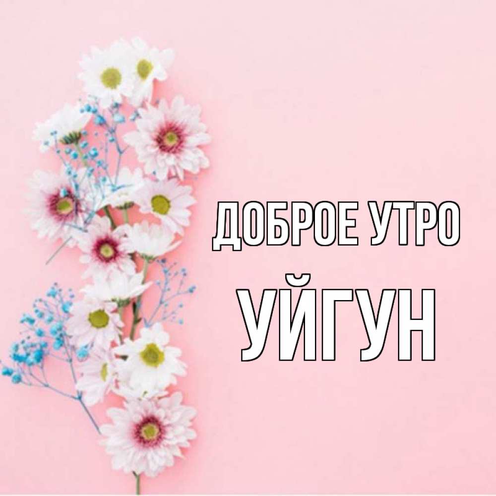 Картинка Доброе утро, Уйгун