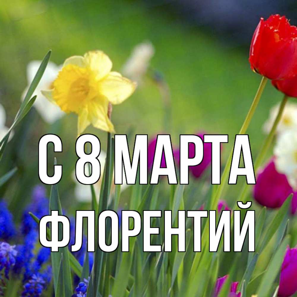 Открытка на каждый день с именем, Флорентий С 8 МАРТА международный женский день 3 Прикольная открытка с пожеланием онлайн скачать бесплатно 