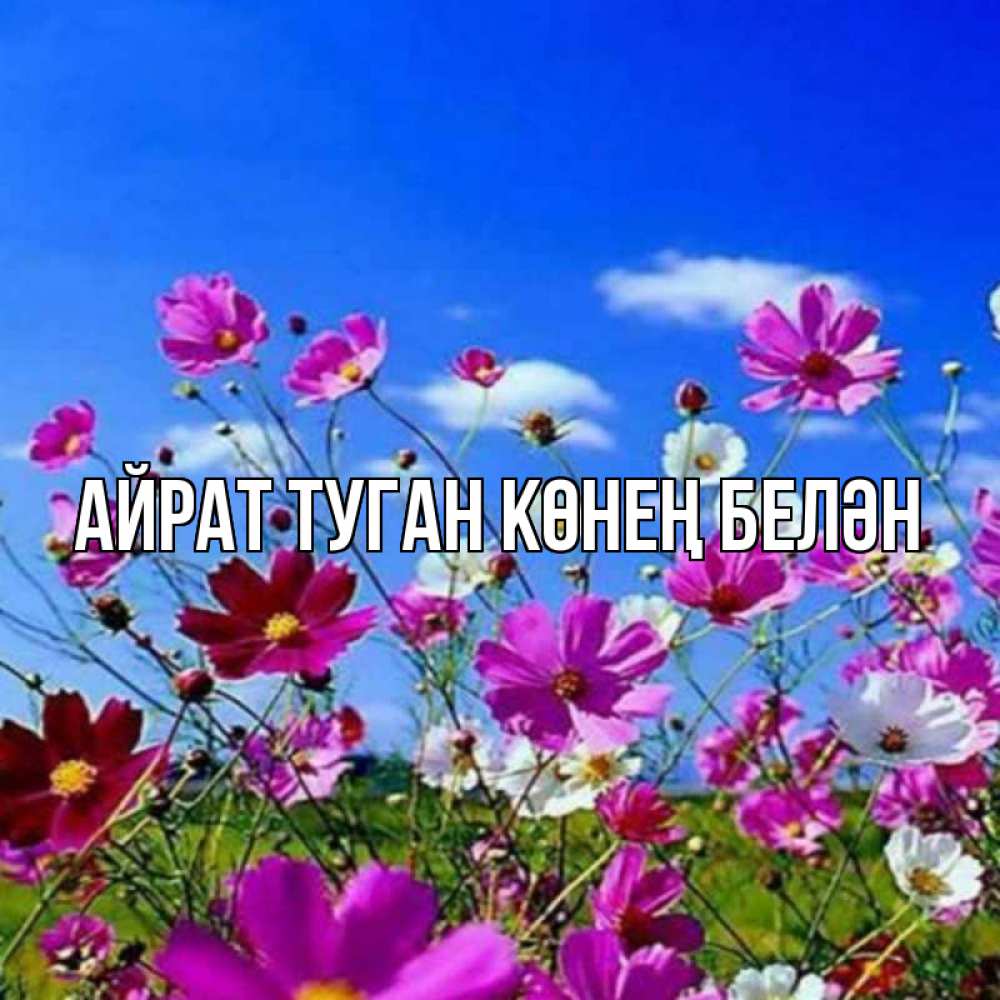 Открытка на каждый день с именем, Айрат-туган-көнең-белән Главная цветы Прикольная открытка с пожеланием онлайн скачать бесплатно 