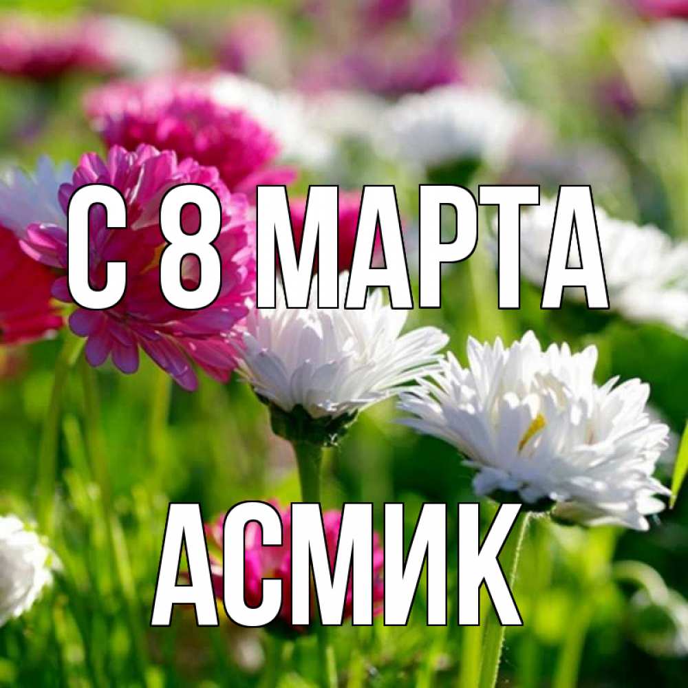 Открытка на каждый день с именем, Асмик С 8 марта международный женский день 1 Прикольная открытка с пожеланием онлайн скачать бесплатно 