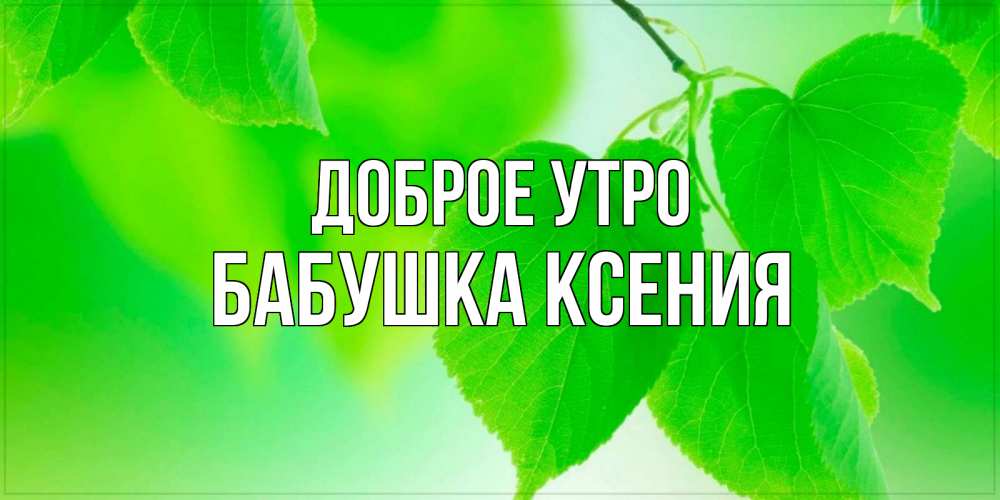 Открытка на каждый день с именем, Бабушка-Ксения Доброе утро доброе утро с березовыми листьями Прикольная открытка с пожеланием онлайн скачать бесплатно 