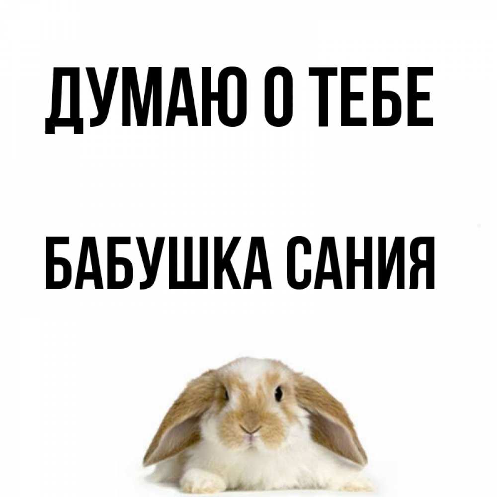 Открытка на каждый день с именем, Бабушка-Сания Думаю о тебе подписать своими руками онлайн Прикольная открытка с пожеланием онлайн скачать бесплатно 