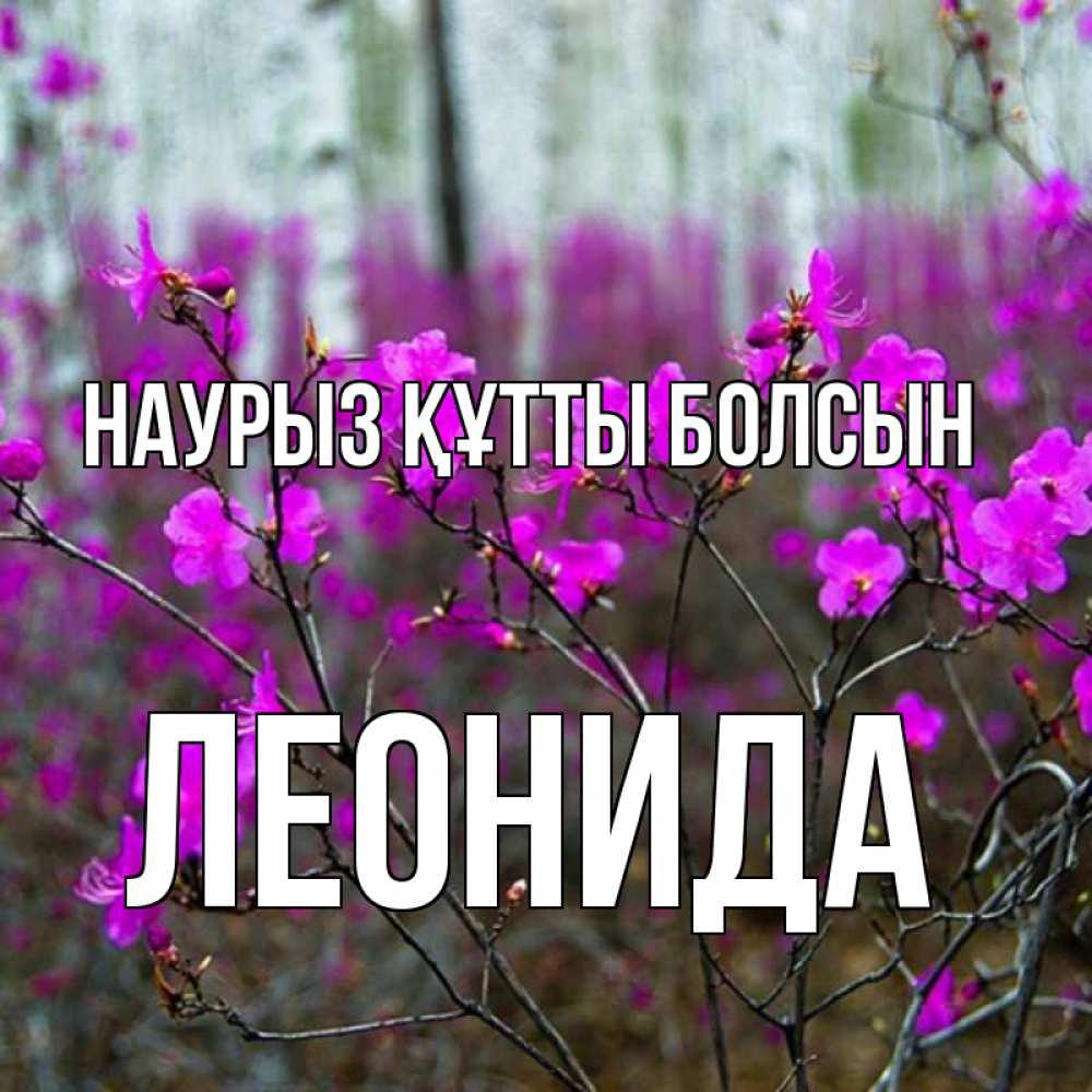 Открытка на каждый день с именем, Леонида Наурыз құтты болсын дикие цветы Прикольная открытка с пожеланием онлайн скачать бесплатно 