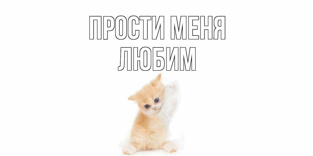 Открытка на каждый день с именем, Любим Прости меня кот Прикольная открытка с пожеланием онлайн скачать бесплатно 
