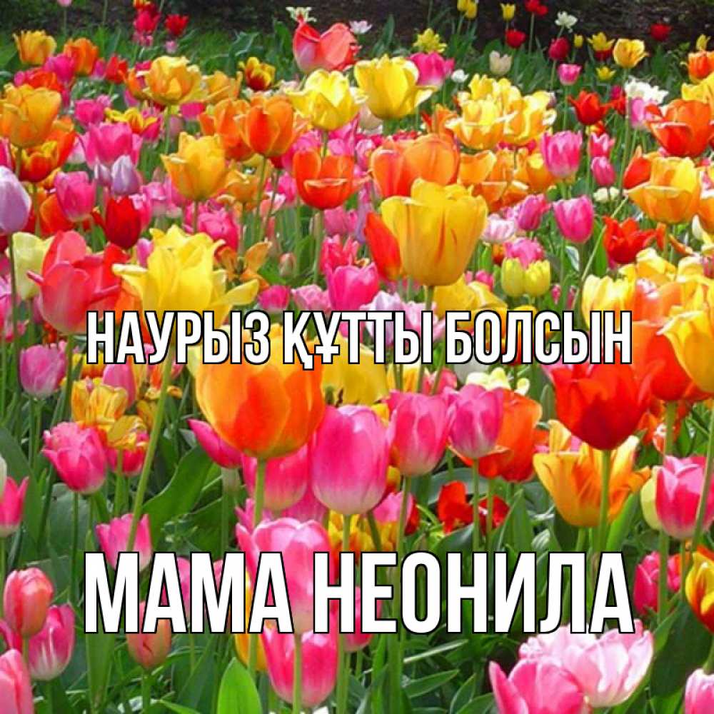 Открытка на каждый день с именем, Мама-Неонила Наурыз құтты болсын на наурыз  ура ура Прикольная открытка с пожеланием онлайн скачать бесплатно 