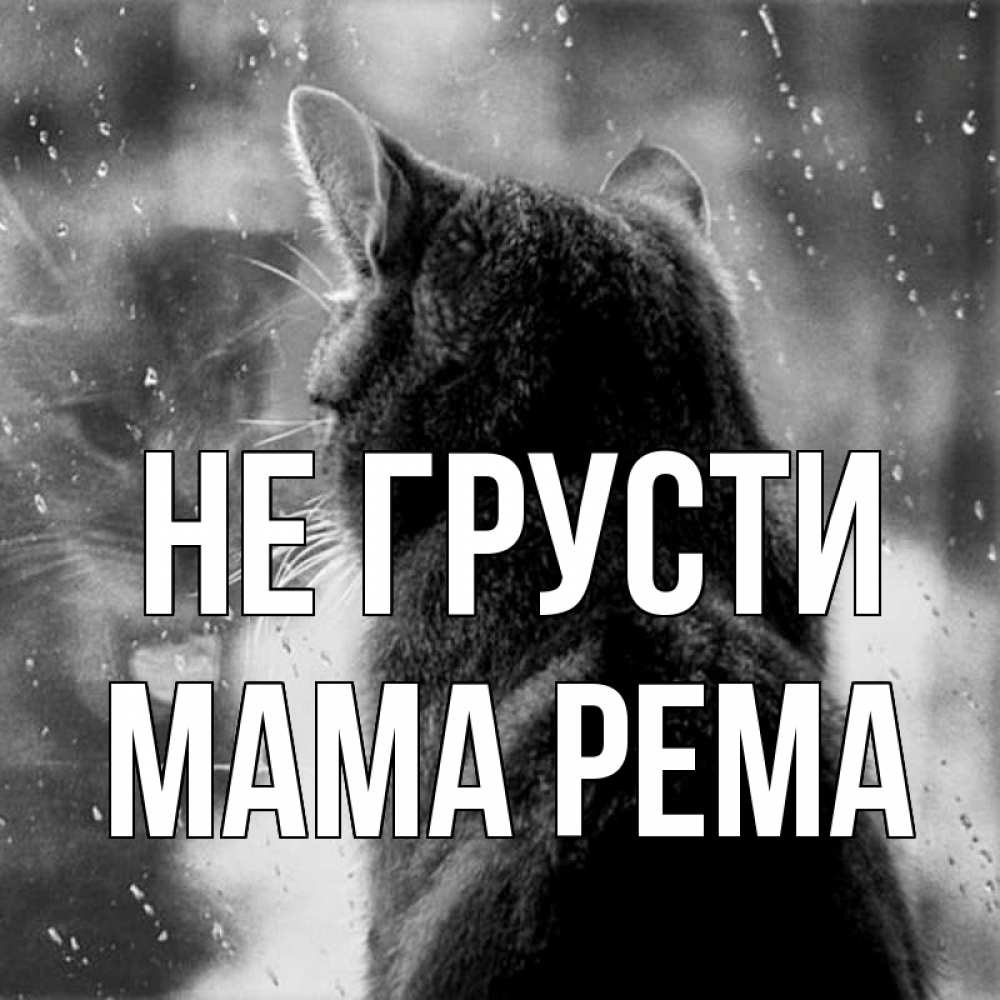 Открытка на каждый день с именем, Мама-Рема Не грусти отражение кота 1 Прикольная открытка с пожеланием онлайн скачать бесплатно 