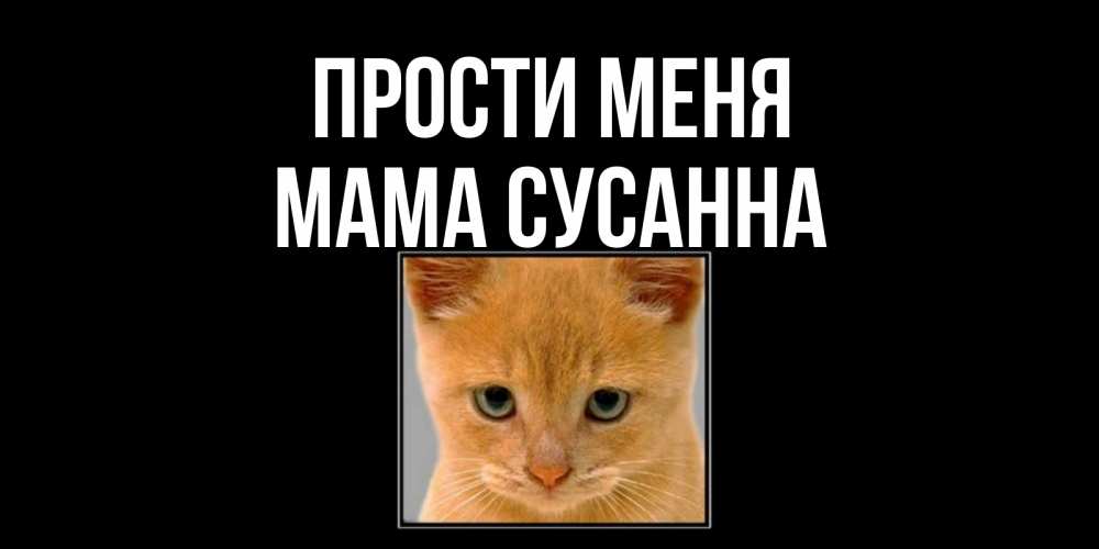 Открытка на каждый день с именем, Мама-Сусанна Прости меня рыжий грустный кот просит прощения Прикольная открытка с пожеланием онлайн скачать бесплатно 