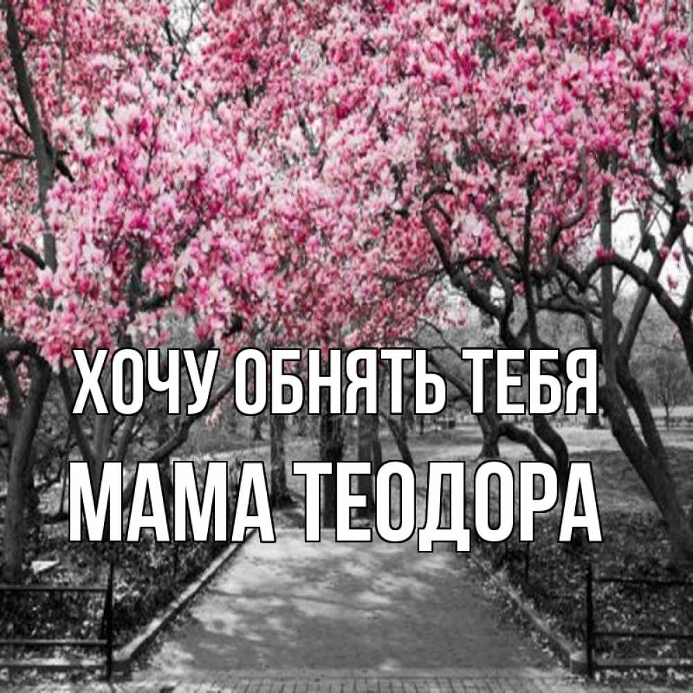 Открытка на каждый день с именем, Мама-Теодора Хочу обнять тебя обработанное фото Прикольная открытка с пожеланием онлайн скачать бесплатно 