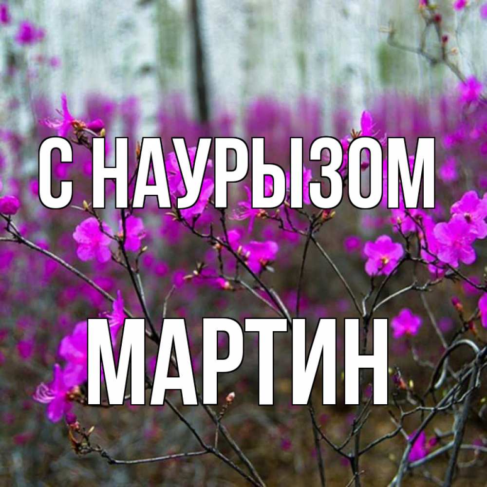 Открытка на каждый день с именем, Мартин С наурызом дикие цветы Прикольная открытка с пожеланием онлайн скачать бесплатно 