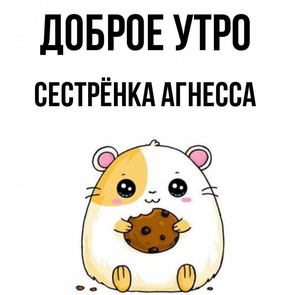 Открытка на каждый день с именем, Сестрёнка-Агнесса Доброе утро есть печеньку. Утречко Прикольная открытка с пожеланием онлайн скачать бесплатно 