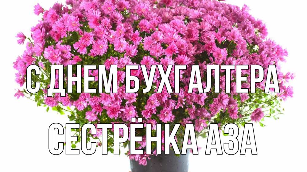Открытка на каждый день с именем, Сестрёнка-Аза С днем бухгалтера с днем бухгалтера Прикольная открытка с пожеланием онлайн скачать бесплатно 